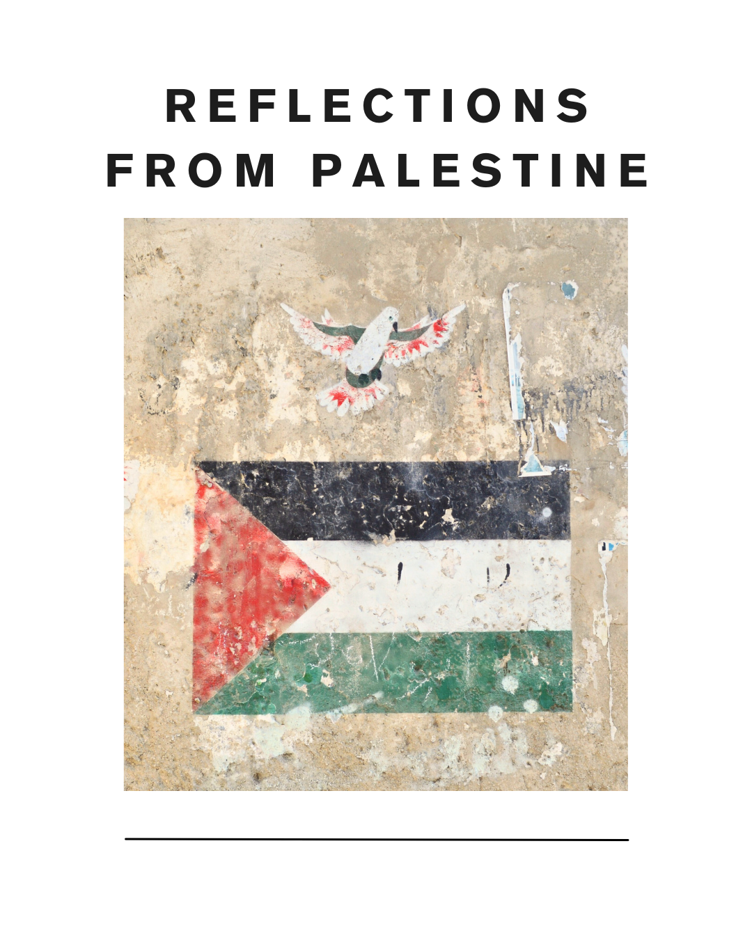 Reflections on Palestine Trip